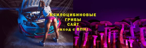 эйфоретик Арсеньев