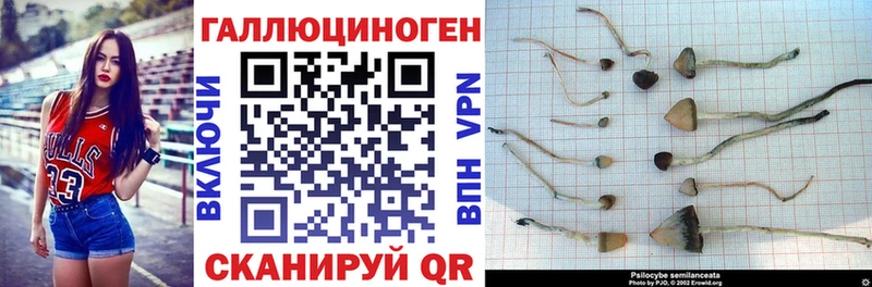 Галлюциногенные грибы GOLDEN TEACHER  Спасск 